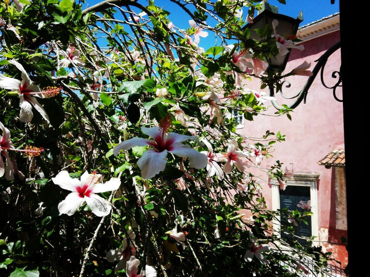 Venetian Well Cozy Apartment Corfu Old Town Экстерьер фото